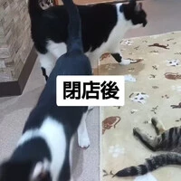 画像1001