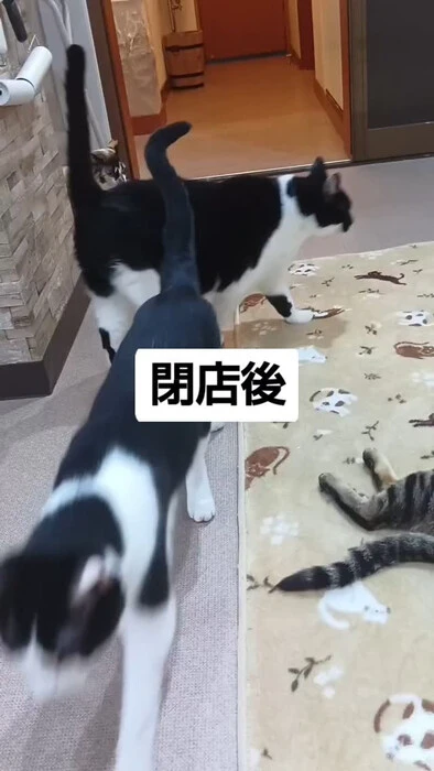 画像1001