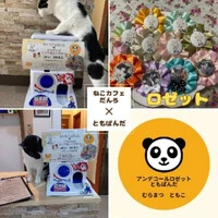 画像1003