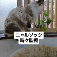 画像1005
