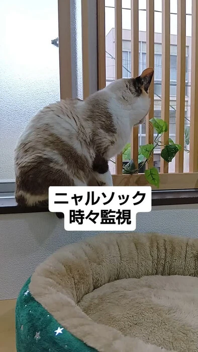 画像1005