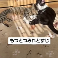 画像1007