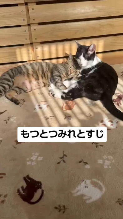 画像1007