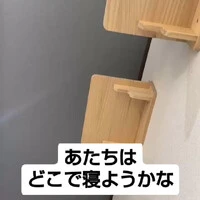 画像1009