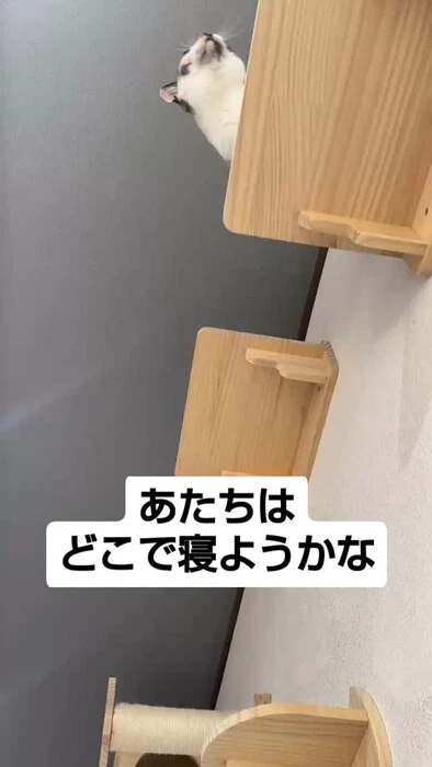 画像1009