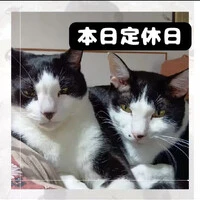画像1011