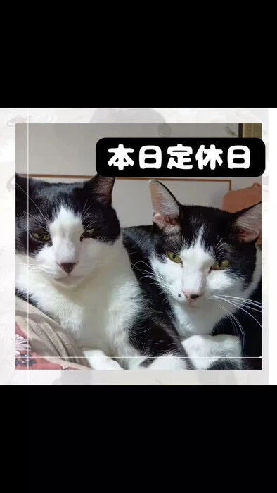 画像1011