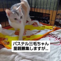 画像1013