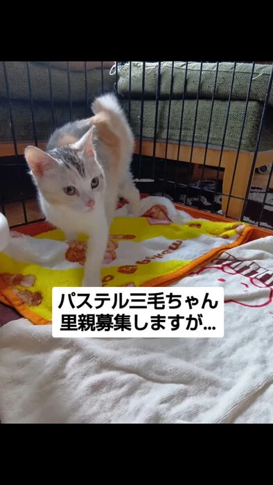 画像1013