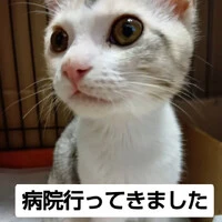 画像1015