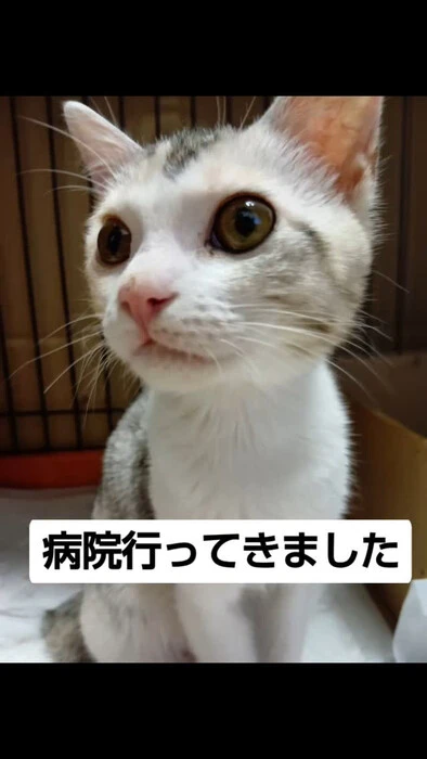 画像1015