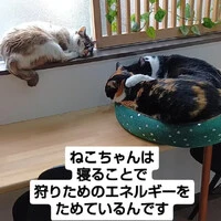画像1017