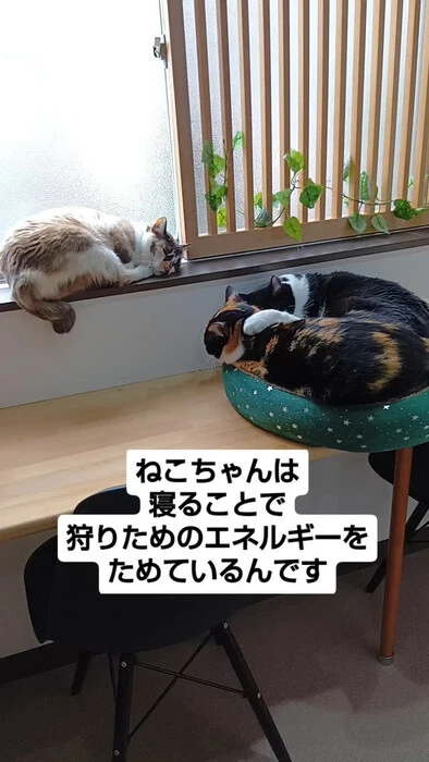 画像1017