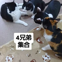 画像1019