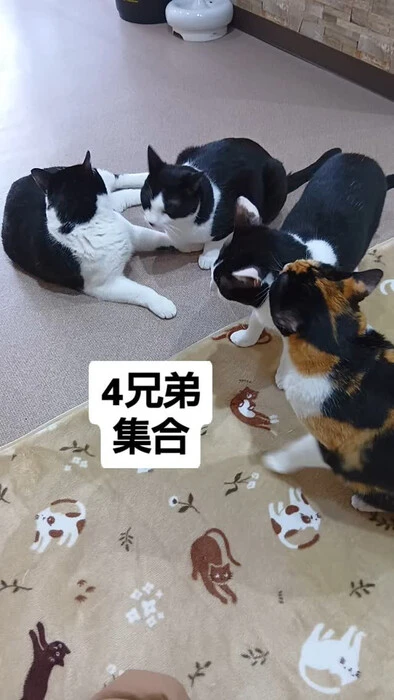 画像1019