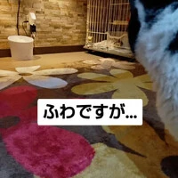 画像1021