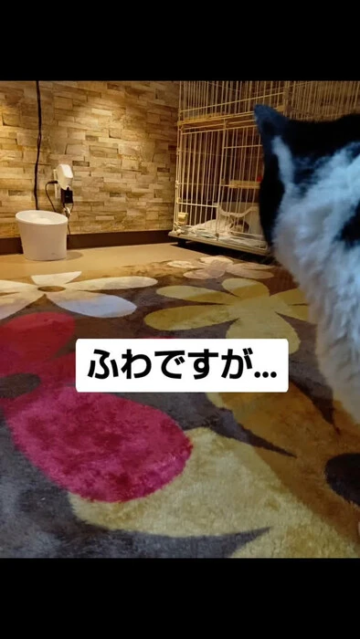 画像1021