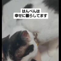 画像1023