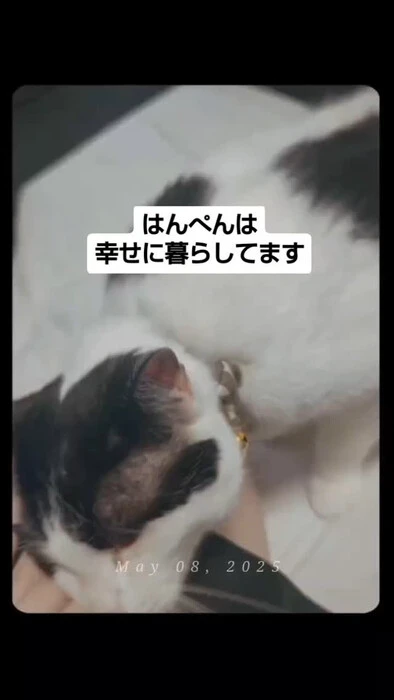 画像1023