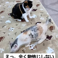 画像1025