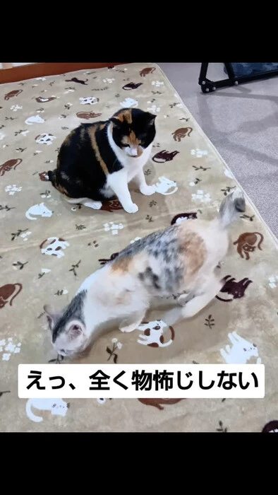 画像1025