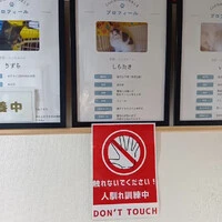 画像1027