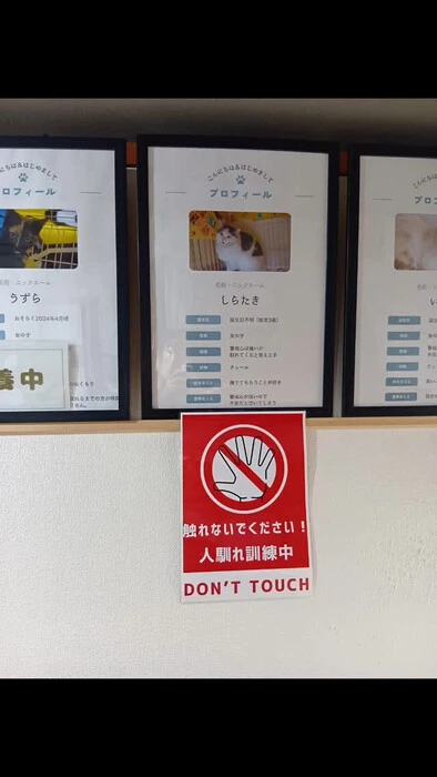 画像1027