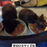画像1029