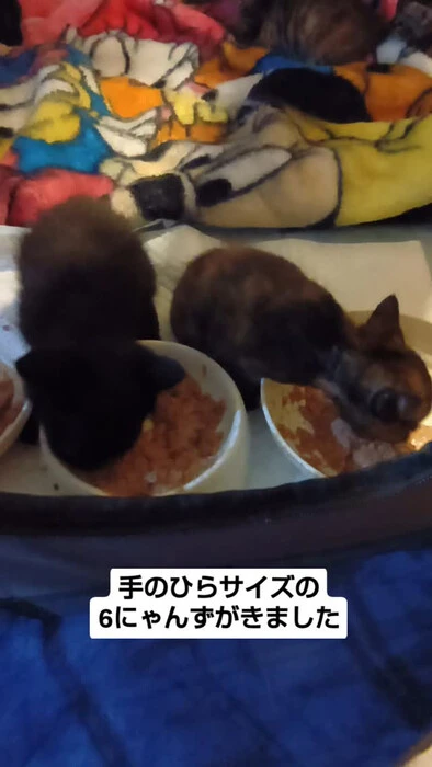 画像1029