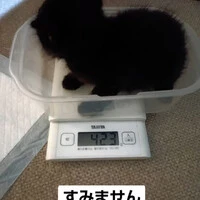 画像1033