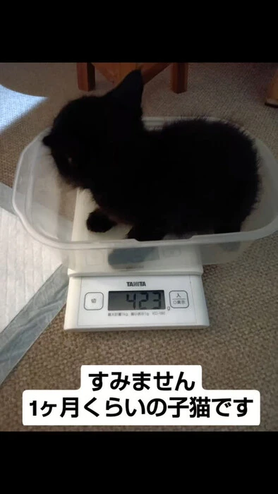 画像1033