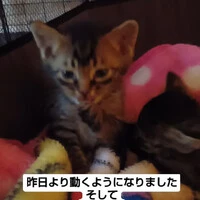 画像1035