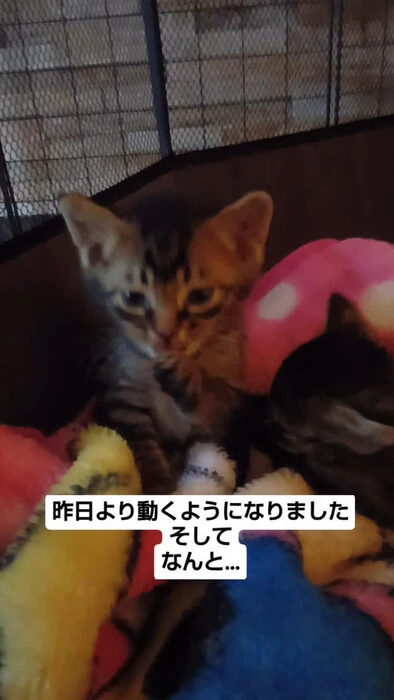 画像1035