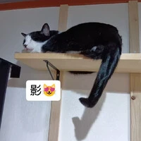 画像1037