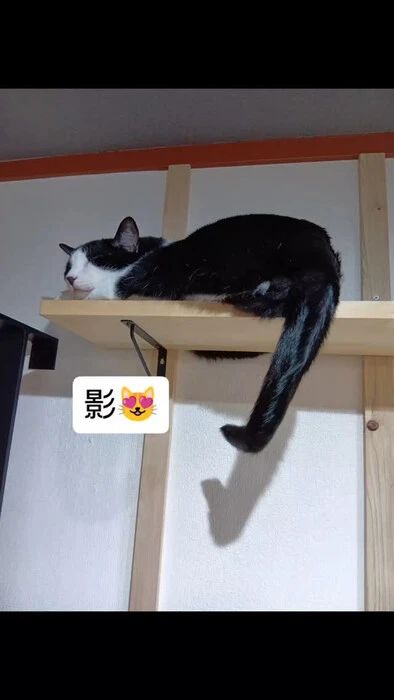 画像1037