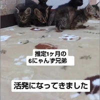 画像1041