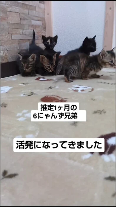 画像1041