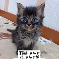 画像1043