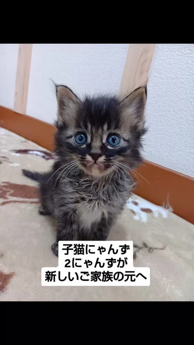 画像1043