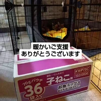 画像1045