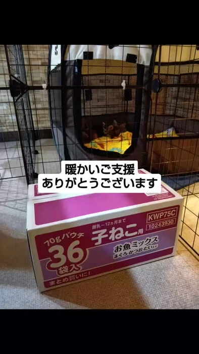画像1045