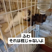 画像1047