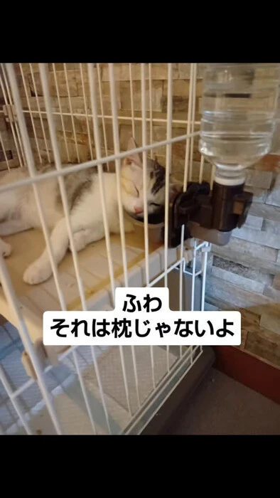 画像1047