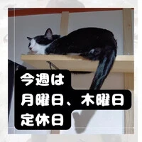画像1049