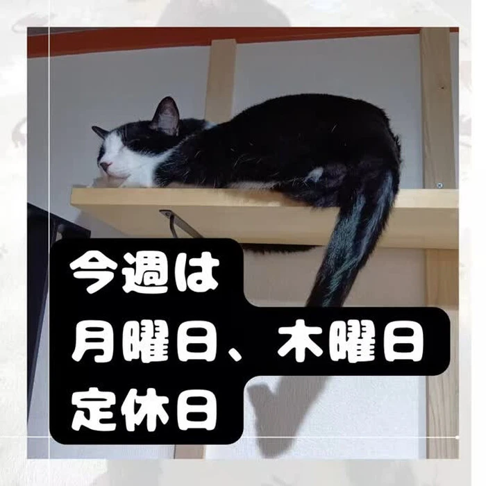 画像1049