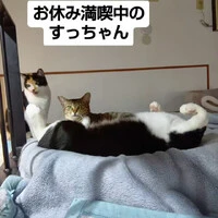 画像1051