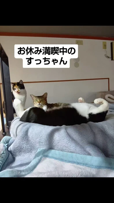 画像1051