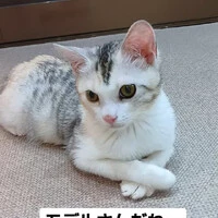画像1055