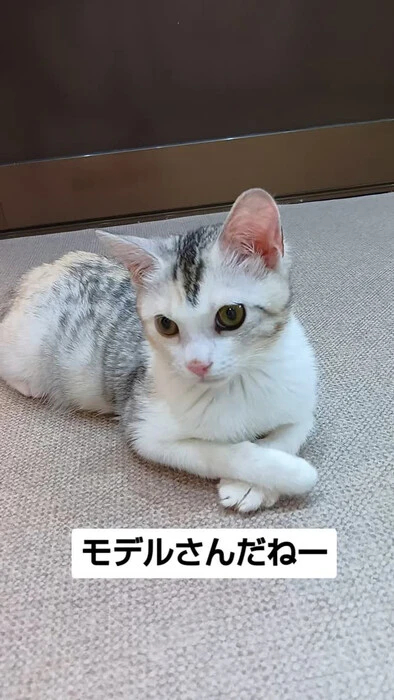 画像1055