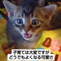 画像1057